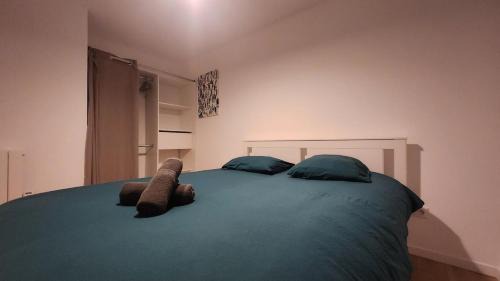 Pont des Demoiselles-Montaudran-La Terrasse Apartment | T2 Jean Rieux 4P- Cité de l'Espace
