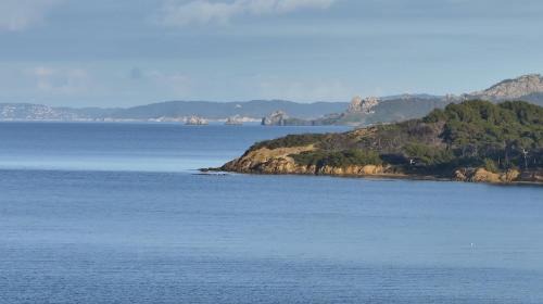 Giens Apartment | T2 Les Dauphins Giens
