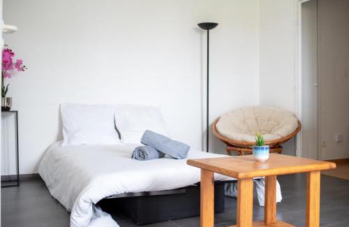 Rangueil-Sauzelong-Pech David-Pouvourville Apartment | T2 Rangueil - Terrasse + 2 Parkings - 4 personnes