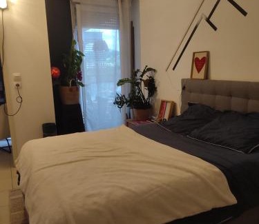 Montrabe Apartment | T2 toulouse