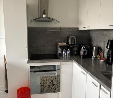 Plerin Apartment | T2 Vue MER COSY HORIZON PLAGE