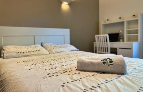 Compans-Caffarelli Apartment | T3 Centre ville avec Terrasse + Parking
