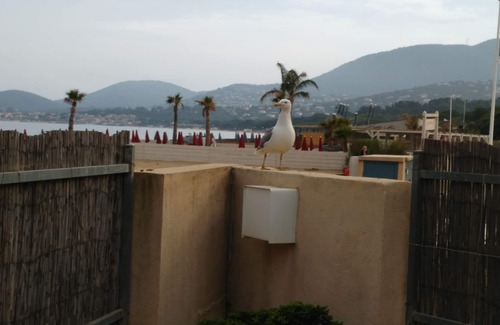 La Croix-Valmer Apartment | T3 garden apartment with feet in the sand