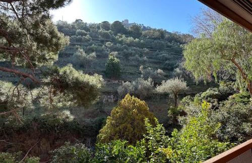 Collioure Apartment | T3 Grand Standing 65m2, vue mer, parking privé et à 200m des plages