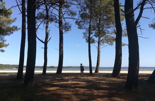 Biscarrosse Apartment | T3 Lumineux Proche Ocean ET LAC Wifi ET Parking Gratuit