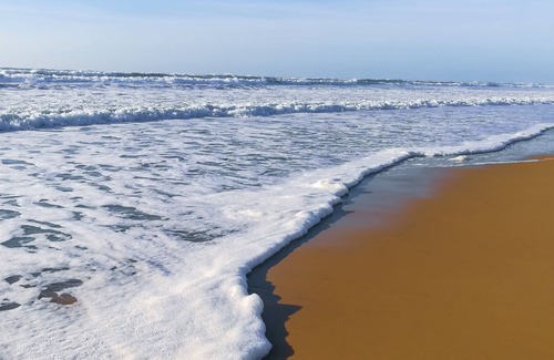 Biscarrosse Apartment | T3 Lumineux Proche Ocean ET LAC Wifi ET Parking Gratuit