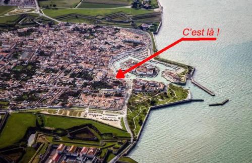 Saint-Martin-de-Re Apartment | T3 on the port with rooftop and parking