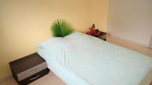 Le Carbet Apartment | T3 plein centre et bord de mer