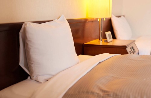 Fuji Hotel | Tabist Hotel New Central
