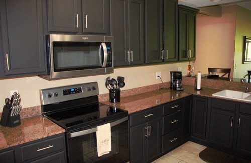Indian Point Condo | Table Rock Lake, Luxury Lake front condo, jacuzzi ,5 min to Silver Dollar City