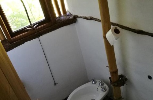 Aristobulo del Valle Cabin | Tacuapí Lodge