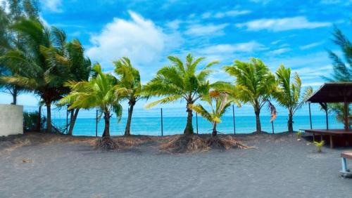 Papara House | TAHITI - Bungalow Taharuu Surf Hoe
