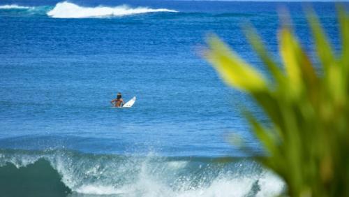 Papara House | TAHITI - Bungalow Taharuu Surf Hoe