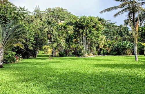 Mahina House | TAHITI - Fare Mitinui Surf Break