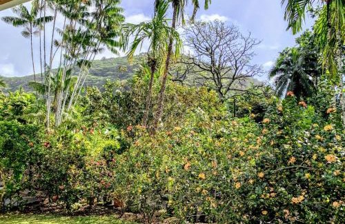 Mahina House | TAHITI - Fare Mitinui Surf Break