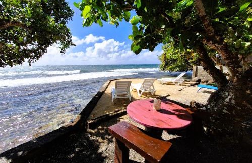 Afaahiti House | TAHITI - Fenua Chill House