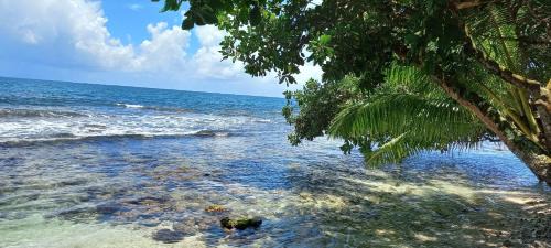 Afaahiti House | TAHITI - Fenua Chill House