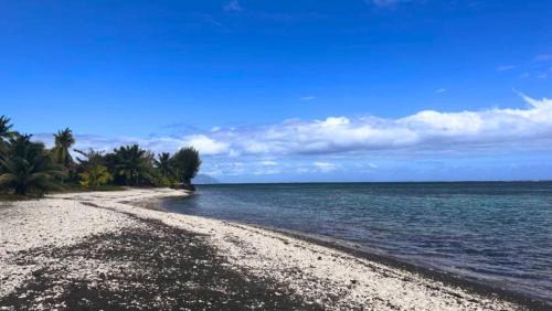 Papara House | TAHITI - Mango Lodge Hotu