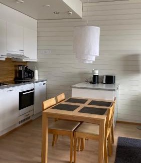 Tahkovuori Apartment | Tahko Chalets B402