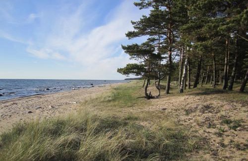 Hiiumaa House | Tahkuna Forest House
