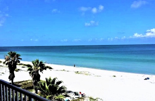 Indian Shores Apartment | Take a step closer to paradise! SEAGATE - Apt. 302