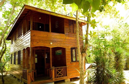 Little London Cabin | Take it easy at our eco friendly beach cabins where life meets nature funfilled