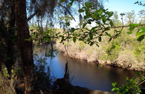 White Springs Cottage | Take It Easy At The Suwannee River Cottage