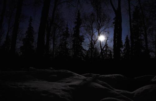 Talkeetna Cabin | Talkeetna Chalet