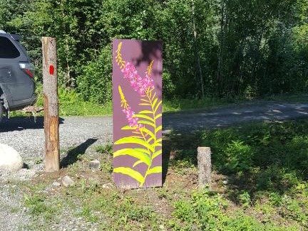 Talkeetna House | Talkeetna Fireweed Cabins