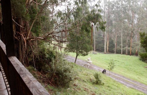 Apollo Bay House | Tall Trees Eco Retreat