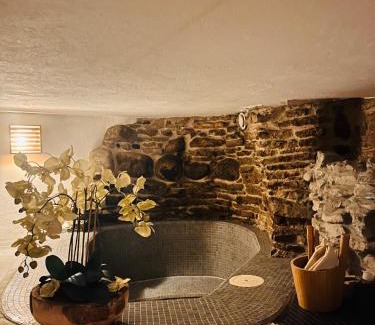 Old Town House | TallinnHousing Luxury SPA House with Sauna and Small Pool Old Town