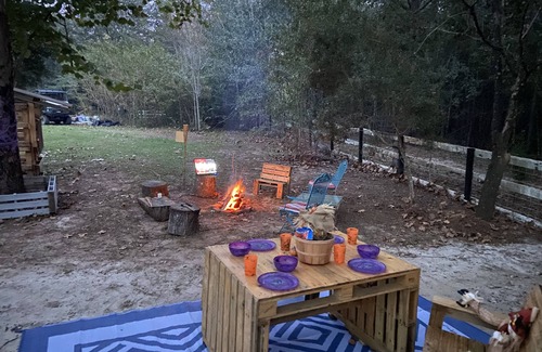 Tallahassee Villa | Tally Glamping Farmstay GIMPY’S GEODOME with mini horses, goats, cows, chickens