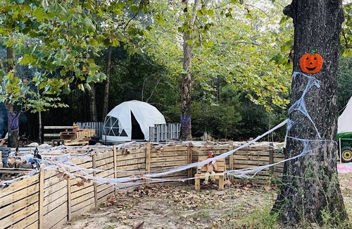 Tallahassee Villa | Tally Glamping Farmstay GIMPY’S GEODOME with mini horses, goats, cows, chickens