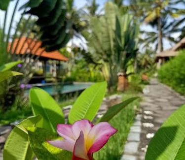 Ubud Resort | Taman Bintang Villa Ubud