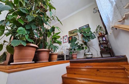 Telavi House | Tamari Guest House