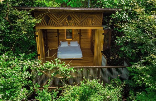Tamarindo House | Tamarindo Tree House Queen Pura Selva