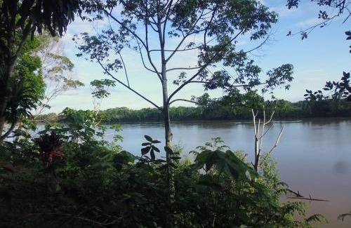 Puerto Maldonado Cabin | Tambopata River