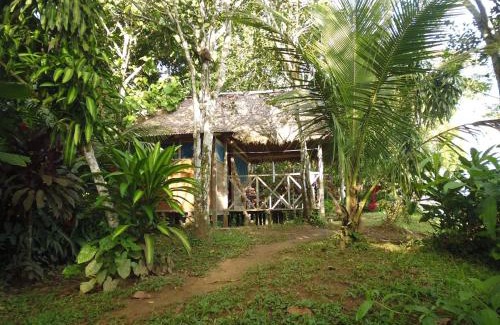 Puerto Maldonado Cabin | Tambopata River