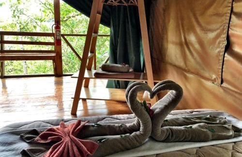 Providencia de Dota Other | Tami Lodge