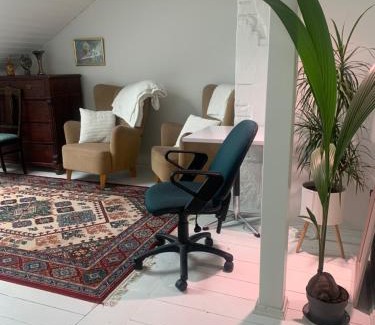 Tampere House | Tampere keskusta ainutlaatuinen iso huone oma kph puutalo-osakkeessa