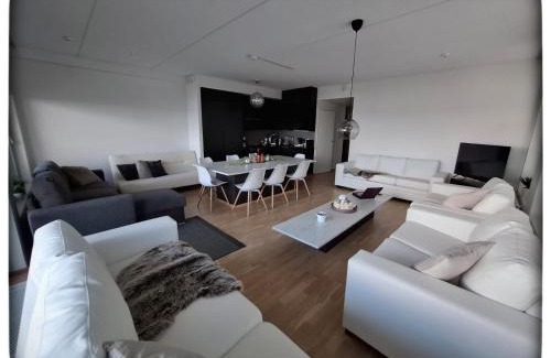 Tampere Apartment | TAMPERE PENTHOUSE-tasokas moderni kaupunki huoneisto huipulla -ISO JACUZZI omalla KATTOTERASSILLA - AURINKOTUOLIT ja Aurinko odottaa Sinua - huikea maisema- - 10 HLÖ - free parking