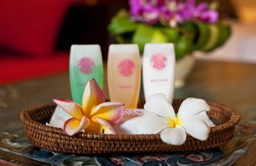 Sanur Hotel | Tamukami Hotel