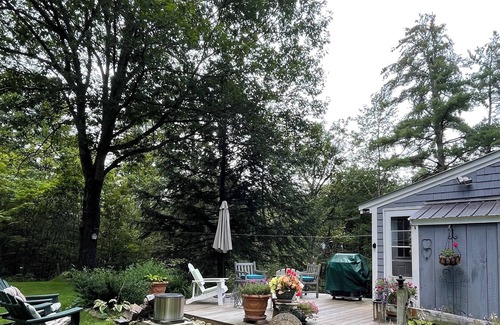 Tamworth House | Tamworth cozy cottage on a brook with trails