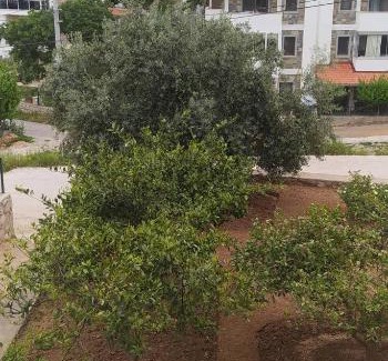 Datca City Center Apartment | Taner Apart