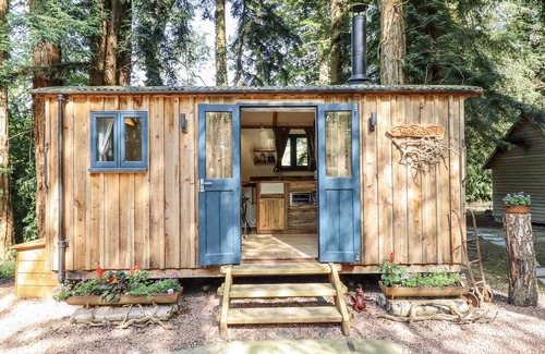Kingswood Cottage | TANGLEWOOD SHEPHERDS HUT, romantic, with hot tub in Welshpool