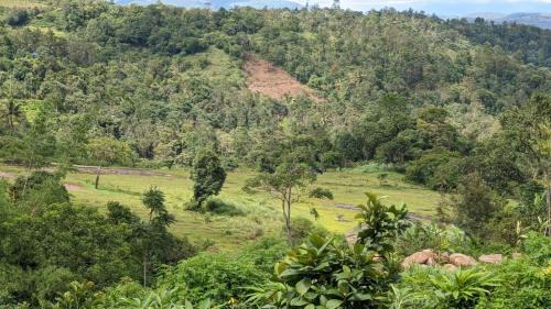 Elappara Apartment | Taniy's Inn Vagamon