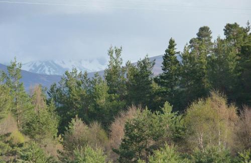 Grantown-on-Spey Apartment | Tanleys - Skye Pod