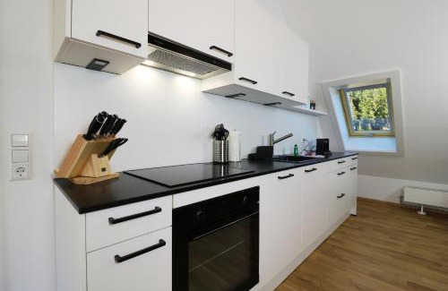 Schluchsee Apartment | Tannenhof Fischbach - Fewo 5 "Zander" - Schluchsee, 2 Schlafzimmer Schlafgalerie, E-Auto Ladestation