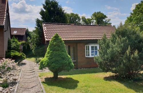 Kratzeburg House | Tannenzapfen