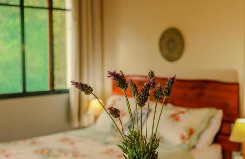 Sao Bento do Sapucai Apartment | Tapovan